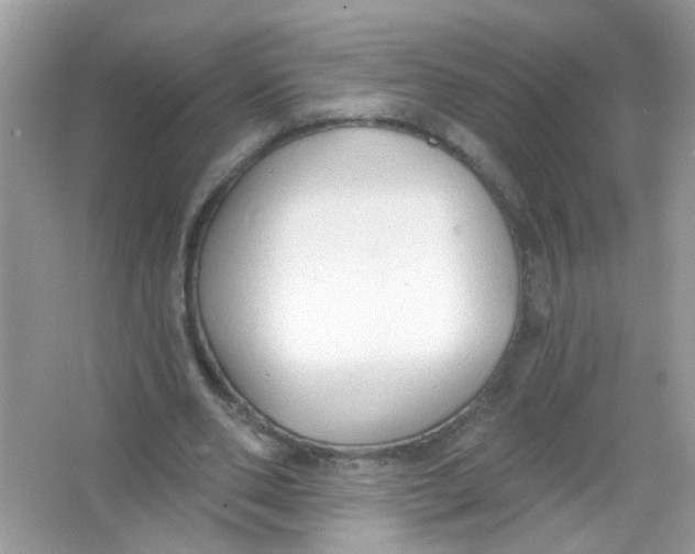 X0000065970486200603241917