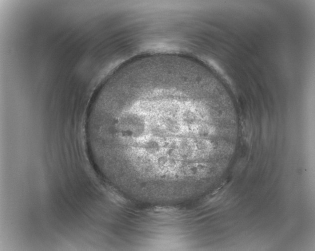 X0000065970487200603241917