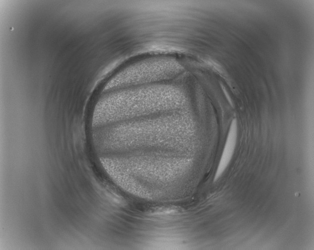 X0000065970488200603241917