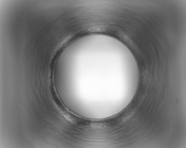 X0000065970490200603241917