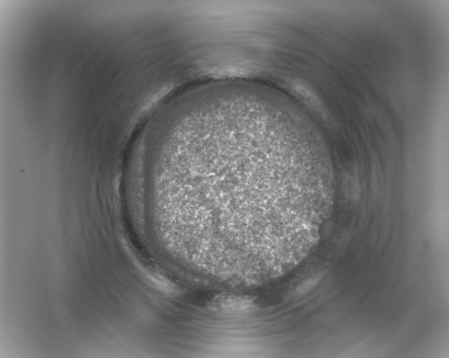 X0000065970491200603241917