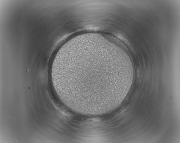 X0000065970492200603241917