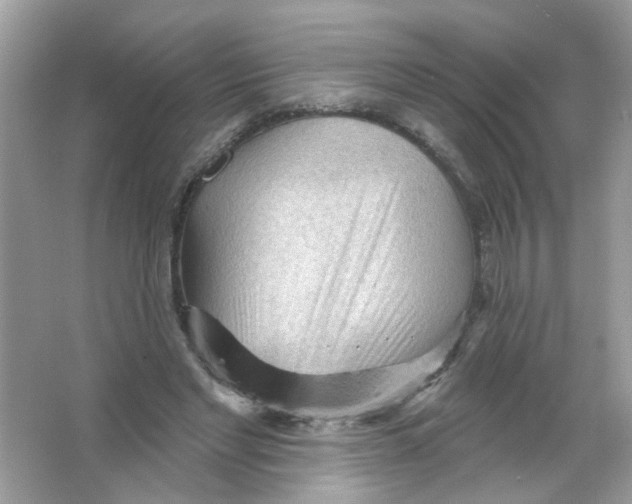 X0000065970493200603241917