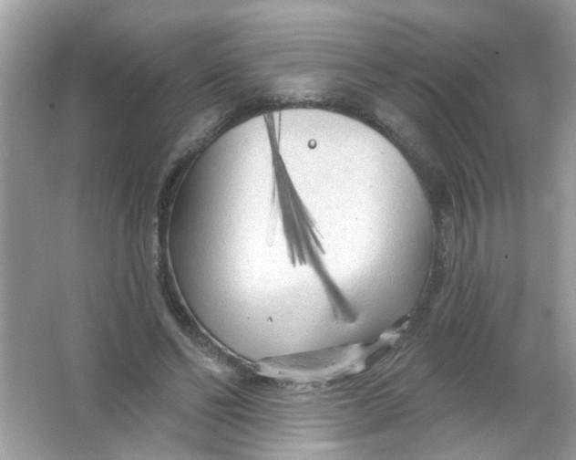 X0000065970494200603241917