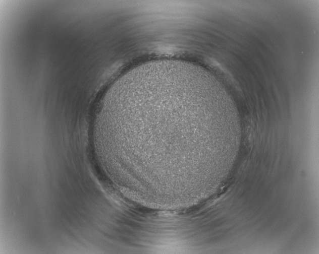 X0000065970496200603241917