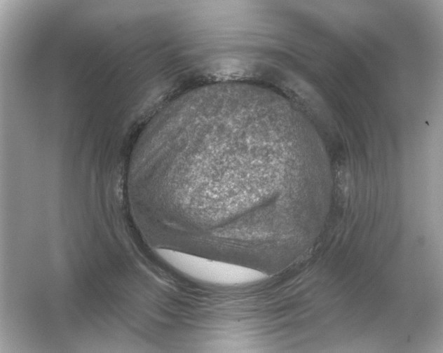 X0000065970499200603241917