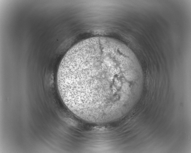 X0000065970502200603241917