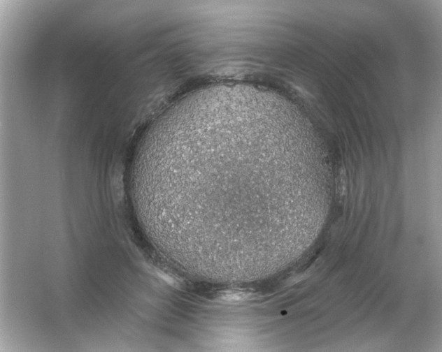 X0000065970504200603241917