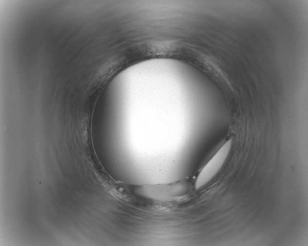 X0000065970505200603241917