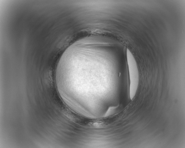 X0000065970506200603241917