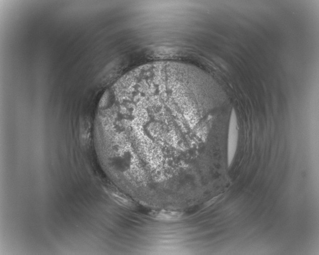 X0000065970507200603241917