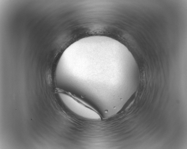 X0000065970508200603241917