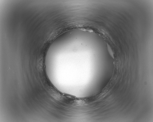 X0000065970509200603241917