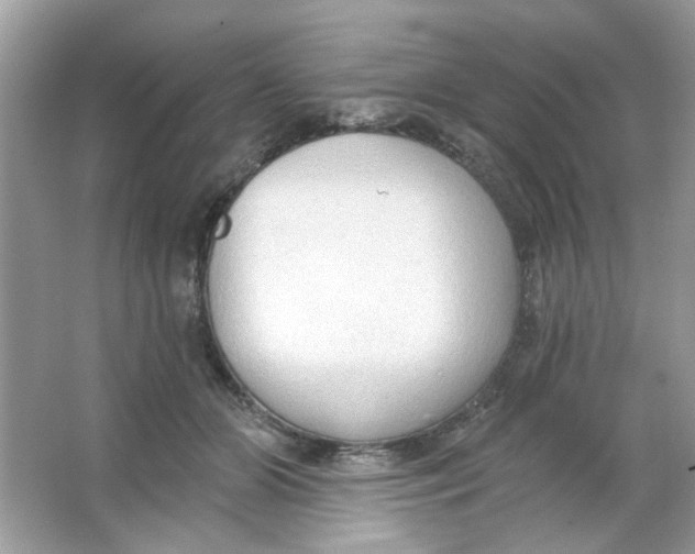 X0000065970510200603241917