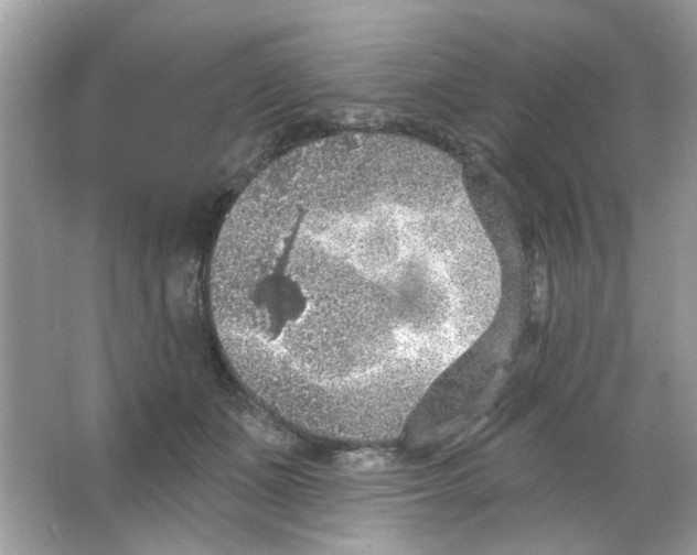 X0000065970511200603241917