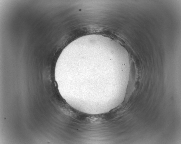 X0000065970512200603241917