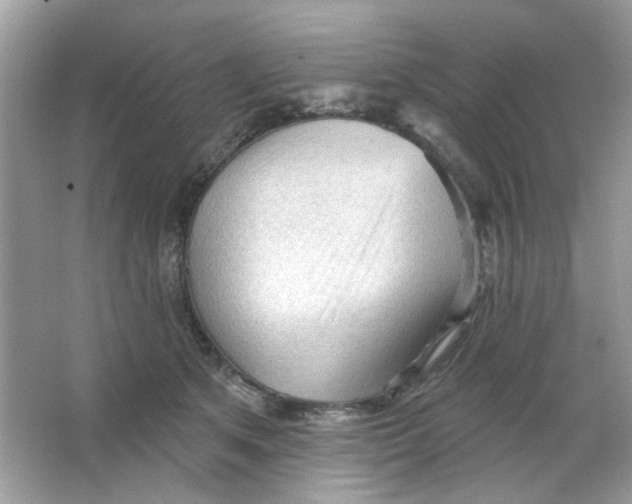 X0000065970513200603241917