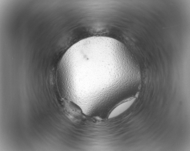 X0000065970515200603241917