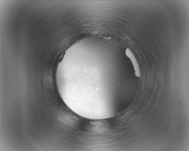 X0000065970516200603241916