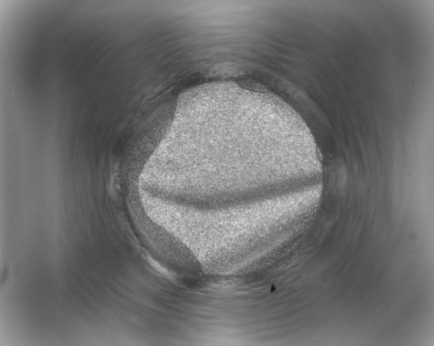 X0000065970517200603241916