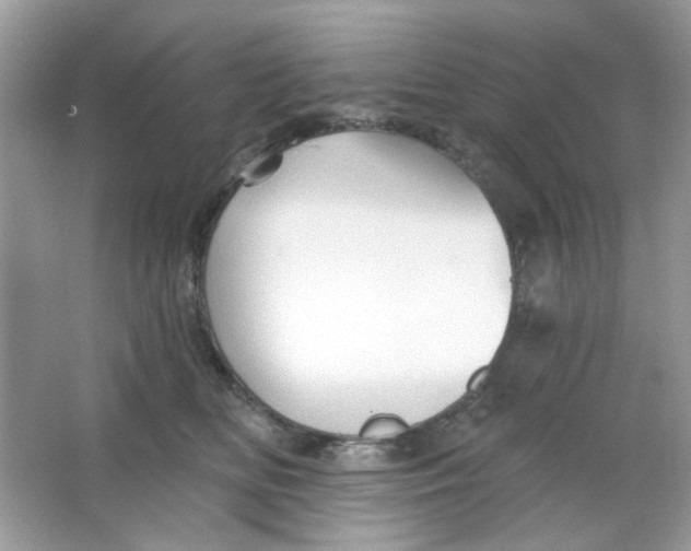 X0000065970518200603241916