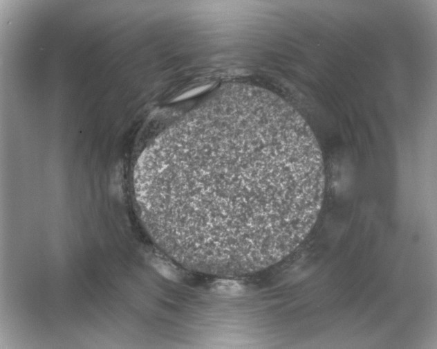 X0000065970519200603241916