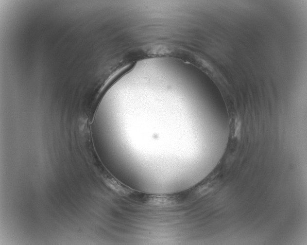 X0000065970521200603241916