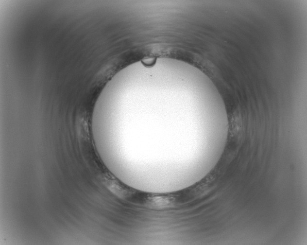 X0000065970522200603241916