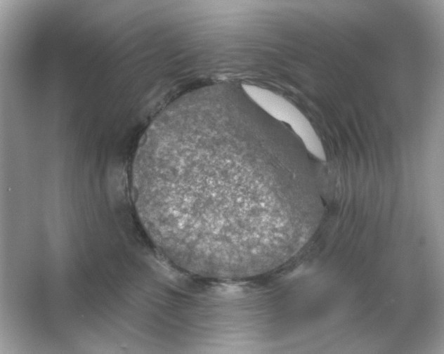 X0000065970523200603241916