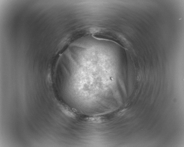 X0000065970524200603241916