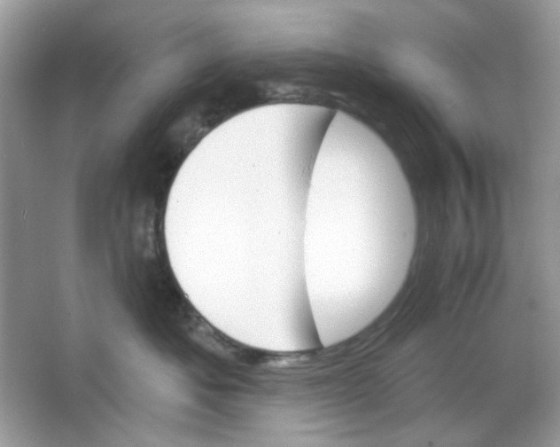 X0000065970525200603241916