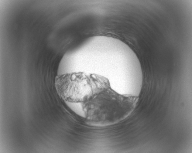 X0000065970527200603241916