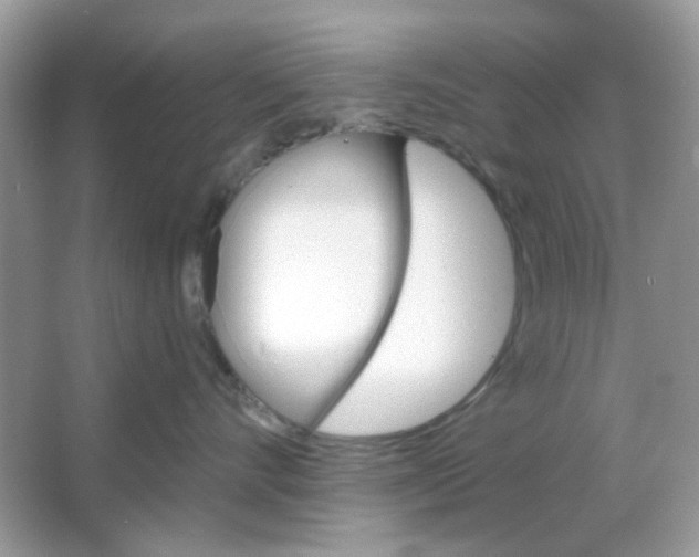 X0000065970528200603241916