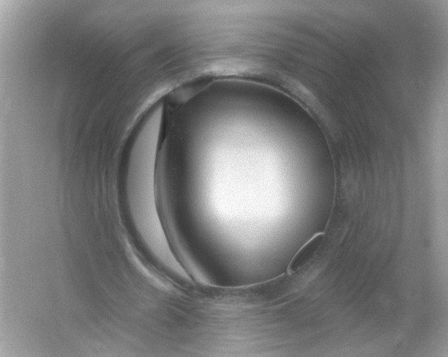 X0000065970530200603241915