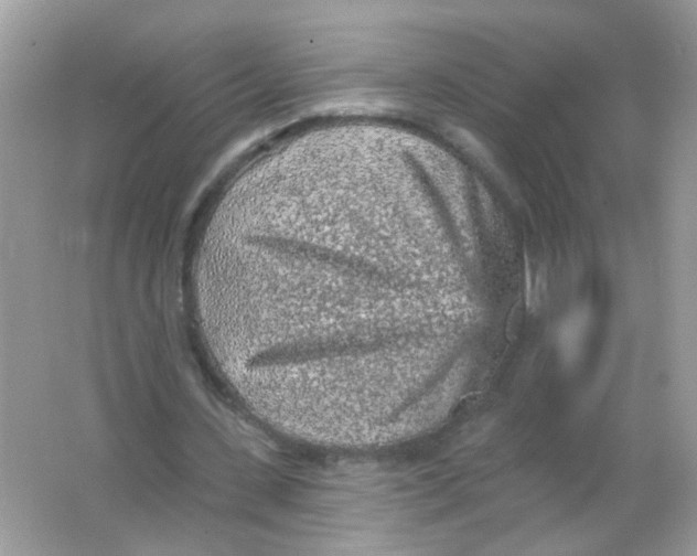 X0000065970531200603241916