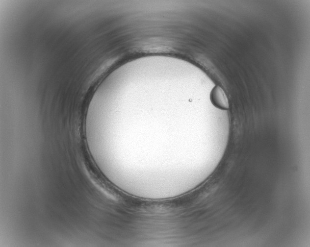 X0000065970533200603241916