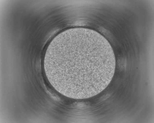 X0000065970534200603241916