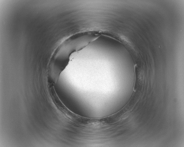 X0000065970540200603241916