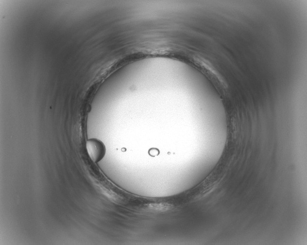 X0000065970541200603241916