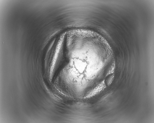 X0000065970542200603241916