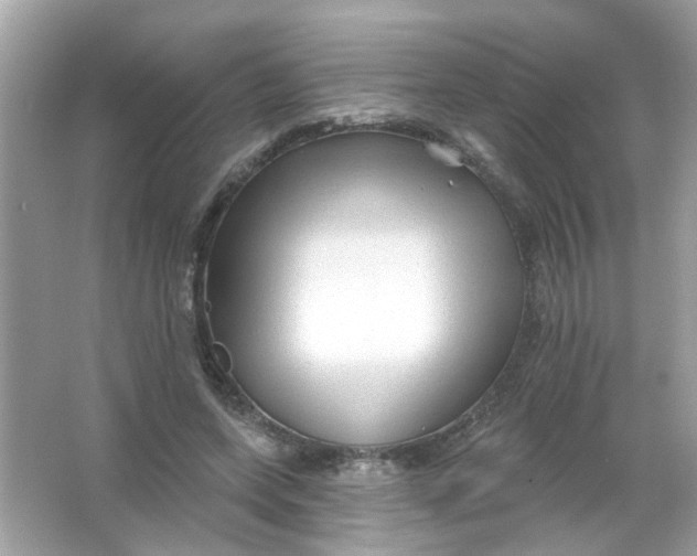 X0000065970543200603241916