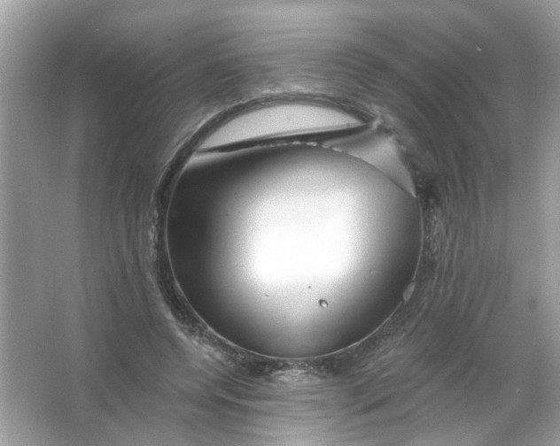 X0000065970544200603241916