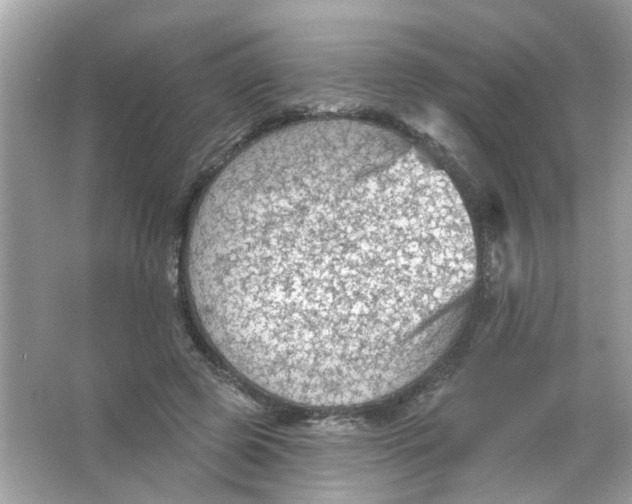 X0000065970545200603241916