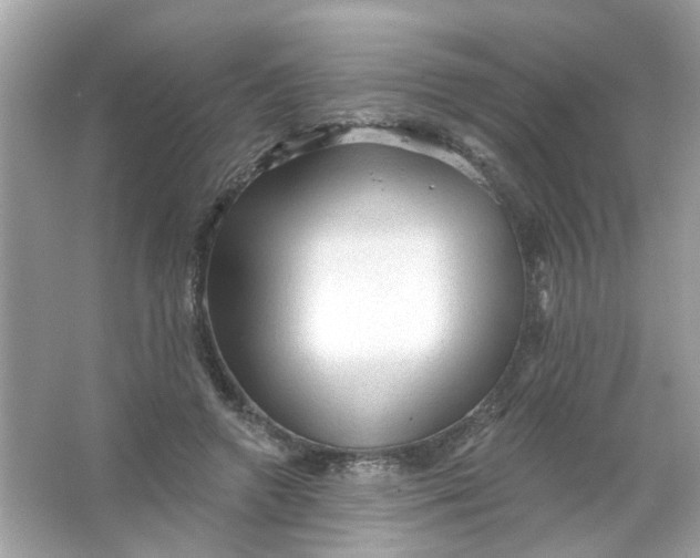 X0000065970546200603241916