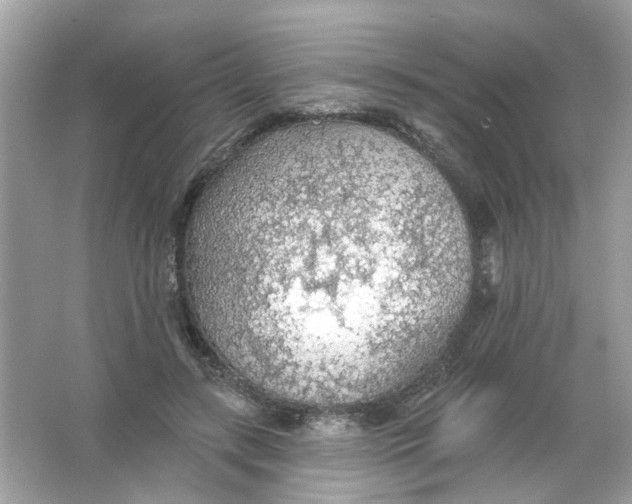 X0000065970547200603241916