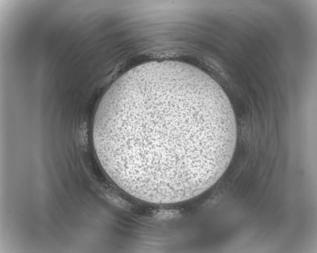 X0000065970549200603241916