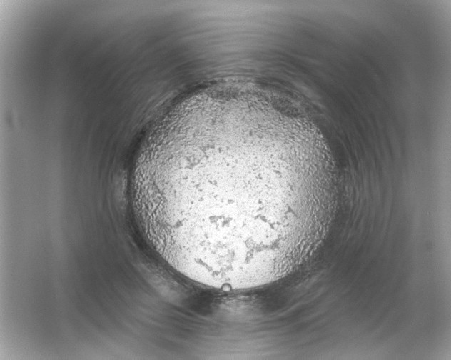 X0000065970550200603241916