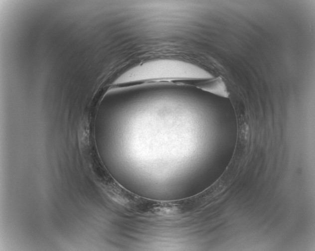 X0000065970552200603241916