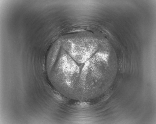 X0000065970553200603241916