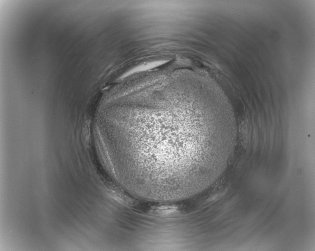 X0000065970554200603241916